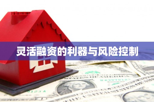 尼玛灵活融资的利器与风险控制