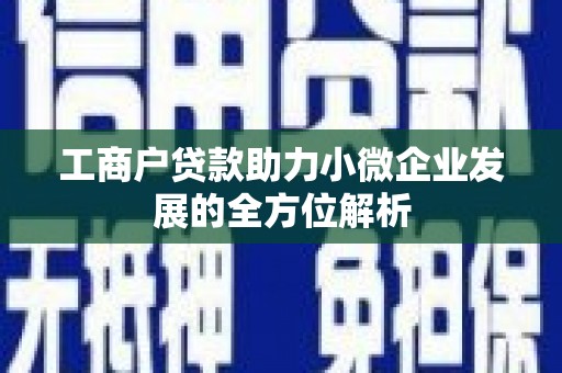 尼玛工商户贷款助力小微企业发展的全方位解析
