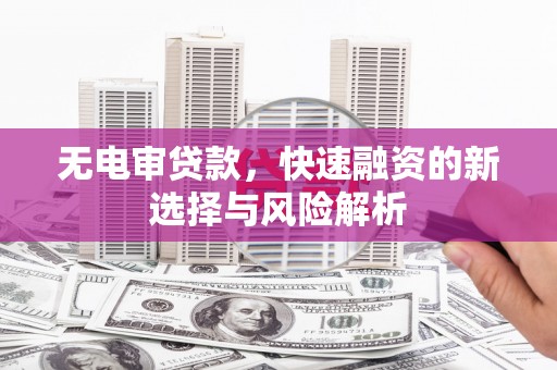 尼玛无电审贷款，快速融资的新选择与风险解析
