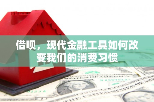 尼玛借呗，现代金融工具如何改变我们的消费习惯