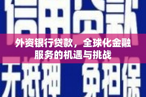 尼玛外资银行贷款，全球化金融服务的机遇与挑战