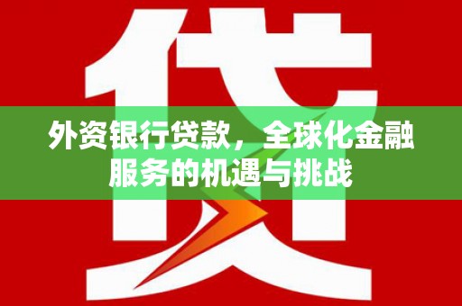 尼玛外资银行贷款，全球化金融服务的机遇与挑战