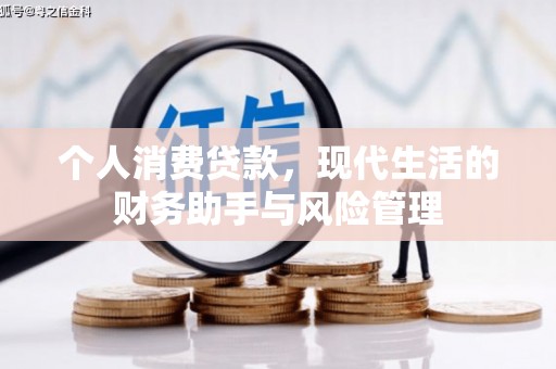 尼玛个人消费贷款，现代生活的财务助手与风险管理