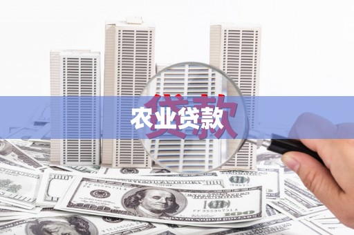 尼玛农业贷款