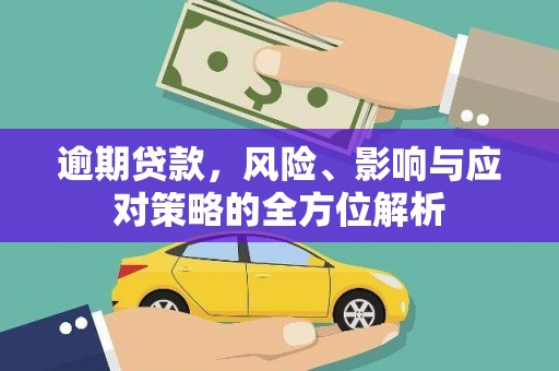 尼玛逾期贷款，风险、影响与应对策略的全方位解析