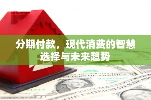 尼玛分期付款，现代消费的智慧选择与未来趋势