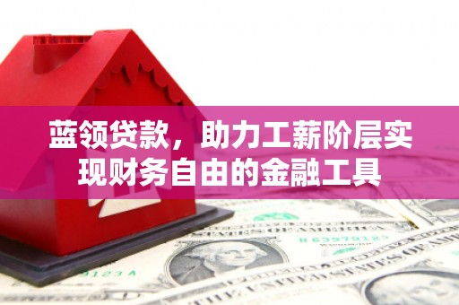 尼玛蓝领贷款，助力工薪阶层实现财务自由的金融工具