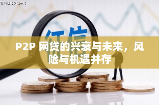 尼玛P2P 网贷的兴衰与未来，风险与机遇并存