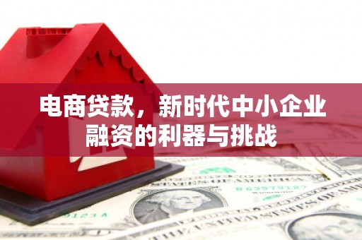 尼玛电商贷款，新时代中小企业融资的利器与挑战