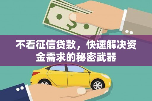 尼玛不看征信贷款，快速解决资金需求的秘密武器
