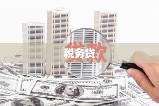 尼玛税务贷