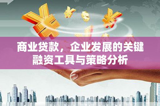 尼玛商业贷款，企业发展的关键融资工具与策略分析