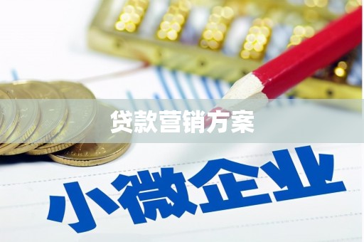 尼玛贷款营销方案