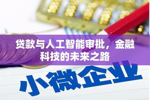 尼玛贷款与人工智能审批，金融科技的未来之路