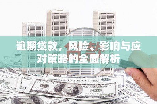 尼玛逾期贷款，风险、影响与应对策略的全面解析