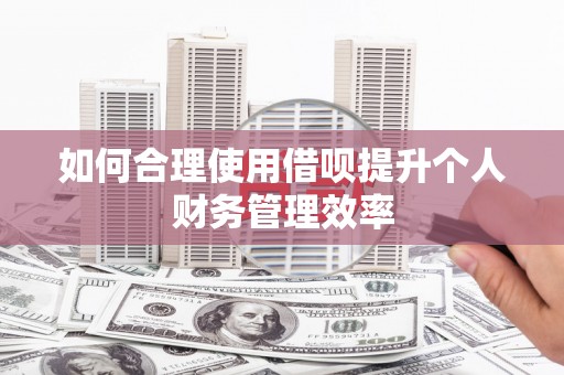 尼玛如何合理使用借呗提升个人财务管理效率