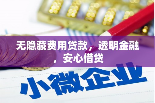 尼玛无隐藏费用贷款，透明金融，安心借贷