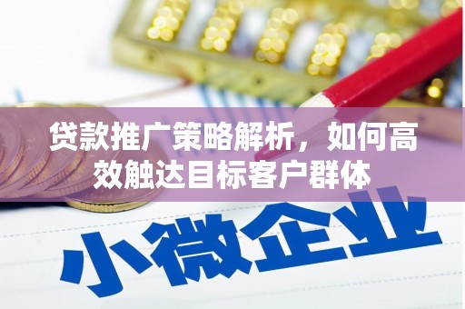 尼玛贷款推广策略解析，如何高效触达目标客户群体