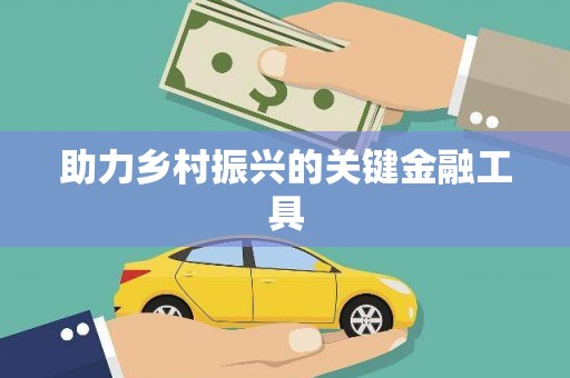 尼玛助力乡村振兴的关键金融工具