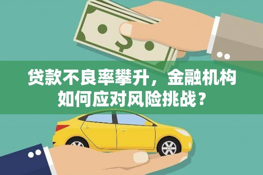 尼玛贷款不良率攀升，金融机构如何应对风险挑战？
