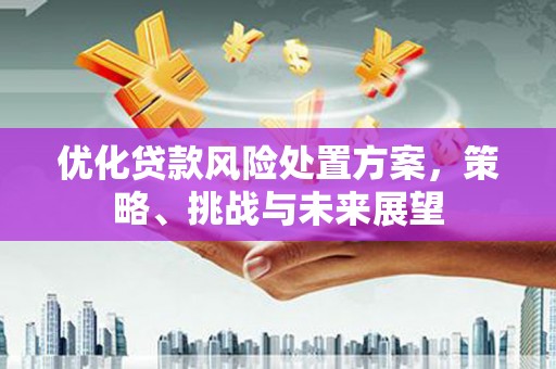 尼玛优化贷款风险处置方案，策略、挑战与未来展望