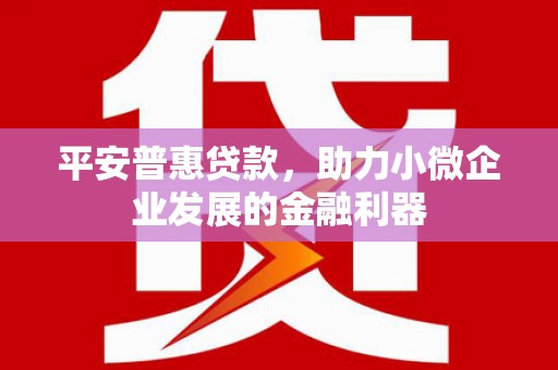 尼玛平安普惠贷款，助力小微企业发展的金融利器