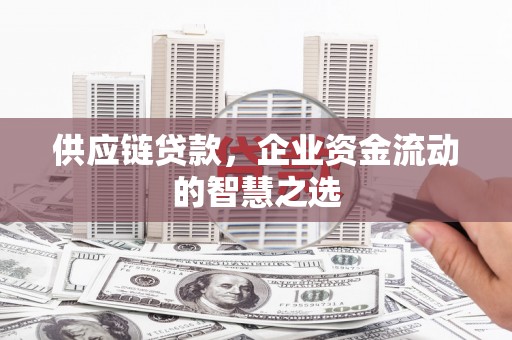 尼玛供应链贷款，企业资金流动的智慧之选