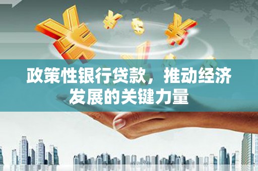 尼玛政策性银行贷款，推动经济发展的关键力量