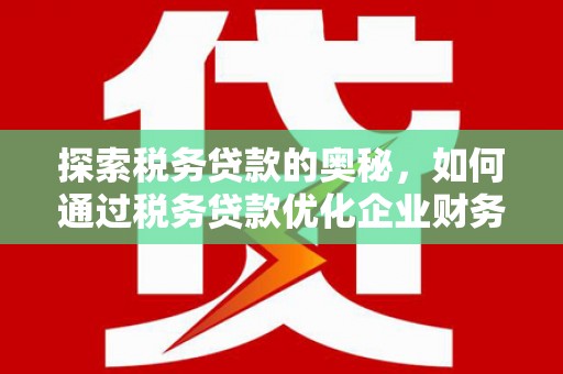 尼玛探索税务贷款的奥秘，如何通过税务贷款优化企业财务