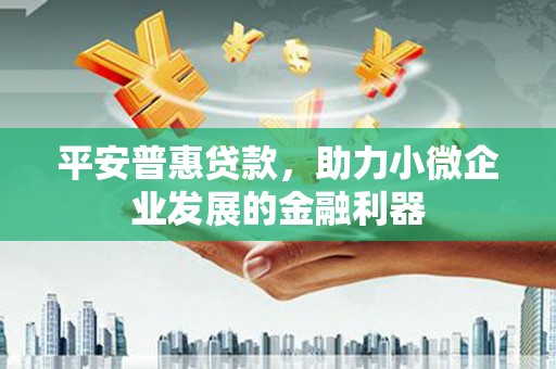 尼玛平安普惠贷款，助力小微企业发展的金融利器