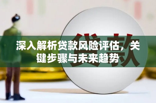 尼玛深入解析贷款风险评估，关键步骤与未来趋势