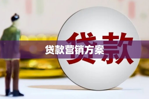 尼玛贷款营销方案