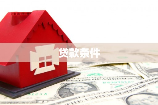尼玛贷款条件