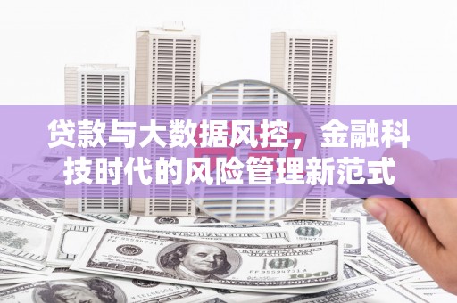 尼玛贷款与大数据风控，金融科技时代的风险管理新范式