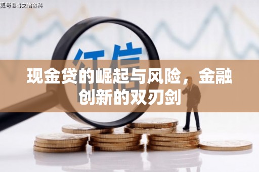 尼玛现金贷的崛起与风险，金融创新的双刃剑