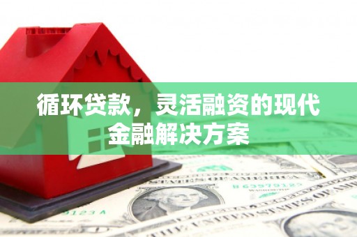 尼玛循环贷款，灵活融资的现代金融解决方案