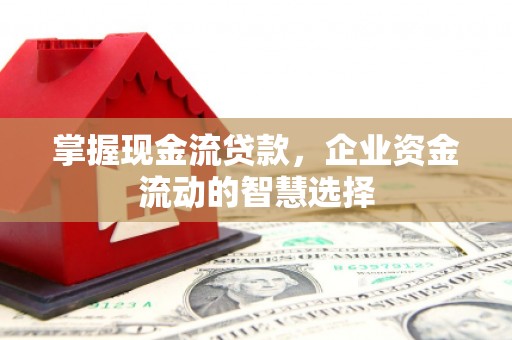 尼玛掌握现金流贷款，企业资金流动的智慧选择