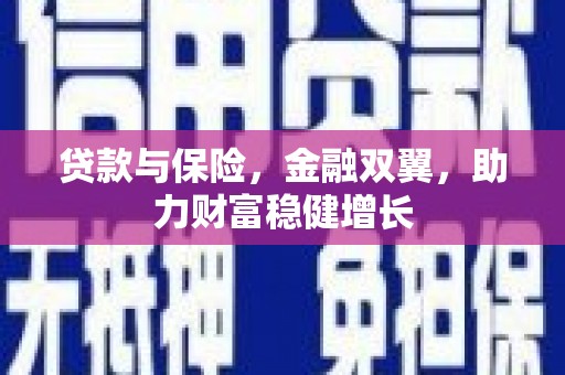 尼玛贷款与保险，金融双翼，助力财富稳健增长