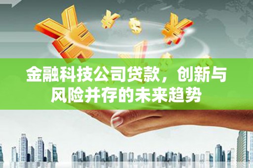 尼玛金融科技公司贷款，创新与风险并存的未来趋势