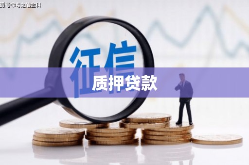 尼玛质押贷款