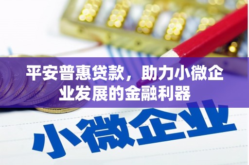 尼玛平安普惠贷款，助力小微企业发展的金融利器