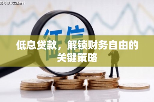 尼玛低息贷款，解锁财务自由的关键策略