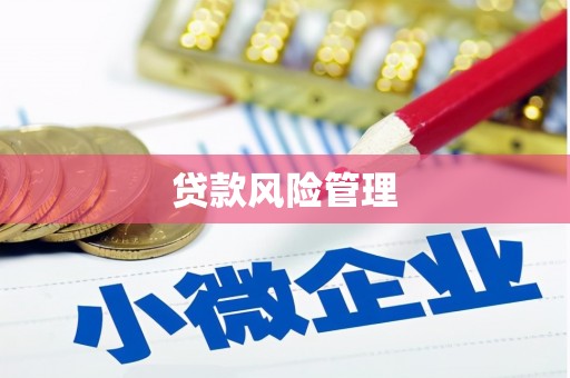 尼玛贷款风险管理