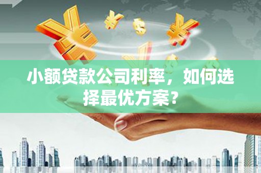 尼玛小额贷款公司利率，如何选择最优方案？