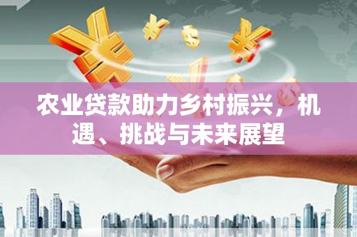 尼玛农业贷款助力乡村振兴，机遇、挑战与未来展望