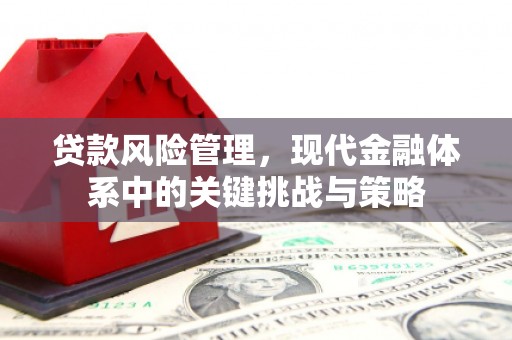 尼玛贷款风险管理，现代金融体系中的关键挑战与策略