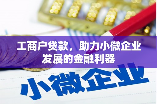 尼玛工商户贷款，助力小微企业发展的金融利器