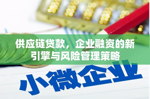 尼玛供应链贷款，企业融资的新引擎与风险管理策略