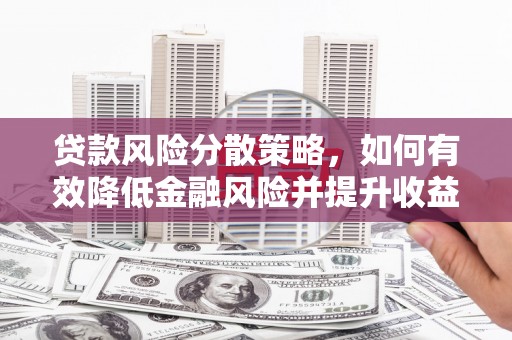 尼玛贷款风险分散策略，如何有效降低金融风险并提升收益