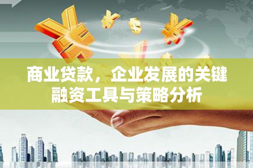 尼玛商业贷款，企业发展的关键融资工具与策略分析